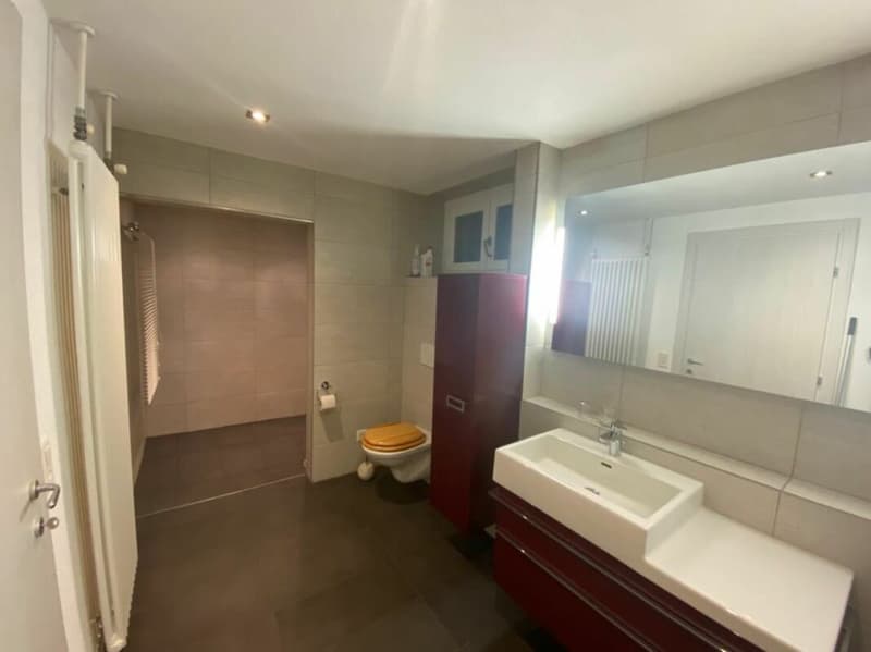 Casa bifamiliare con ampio spazio verde (17)