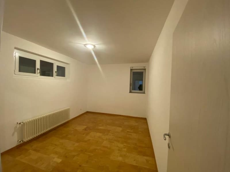Casa bifamiliare con ampio spazio verde (16)