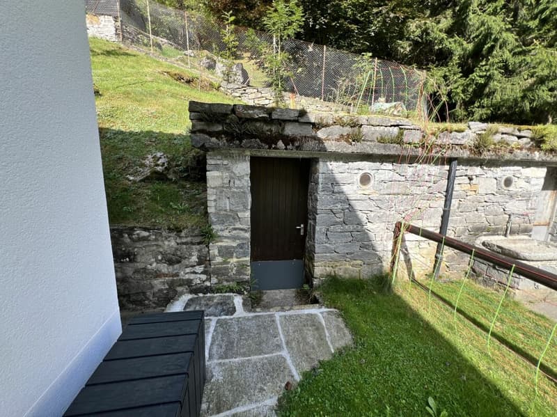 Casa Unifamiliare di 4.5 locali con giardino e terreno (18)