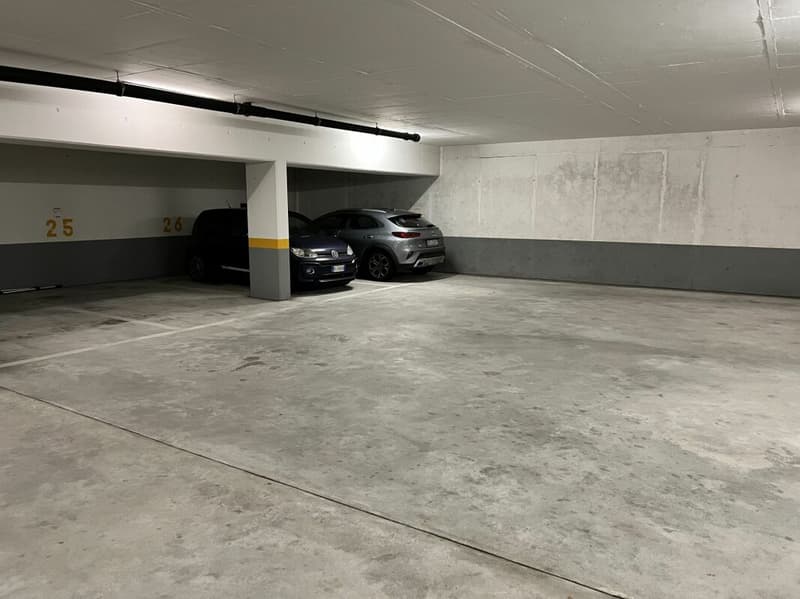 Appartamento 4.5 locali con meravigliosa vista lago (20)