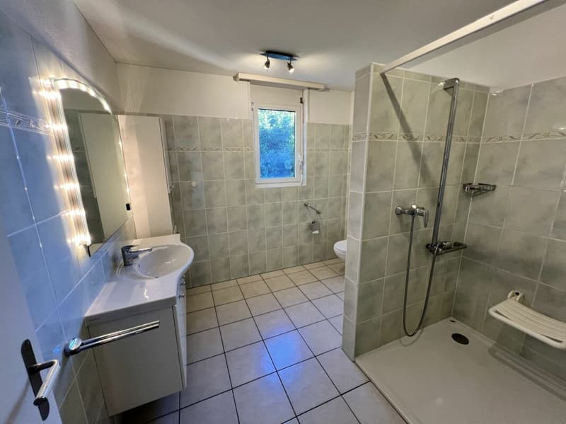 Appartamento 4.5 locali con meravigliosa vista lago (16)