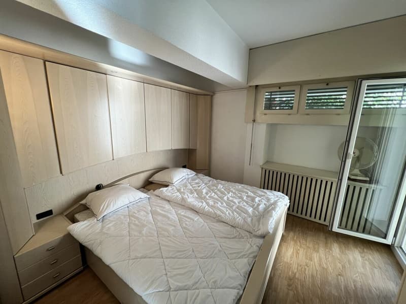 Apartment 3.5 with partial lake view (8)