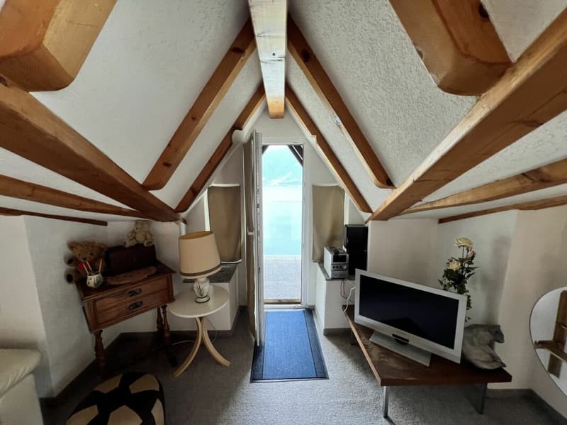 Studio Apartment with lovely Lake View (2)
