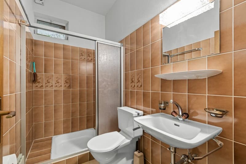 Beautiful 8.5-room semi-detached house with swimming pool and breathtaking views (26)