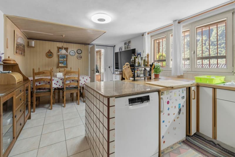 Prestigiosa villa bifamiliare con piscina, grottino, dépendance e garage con officina (15)