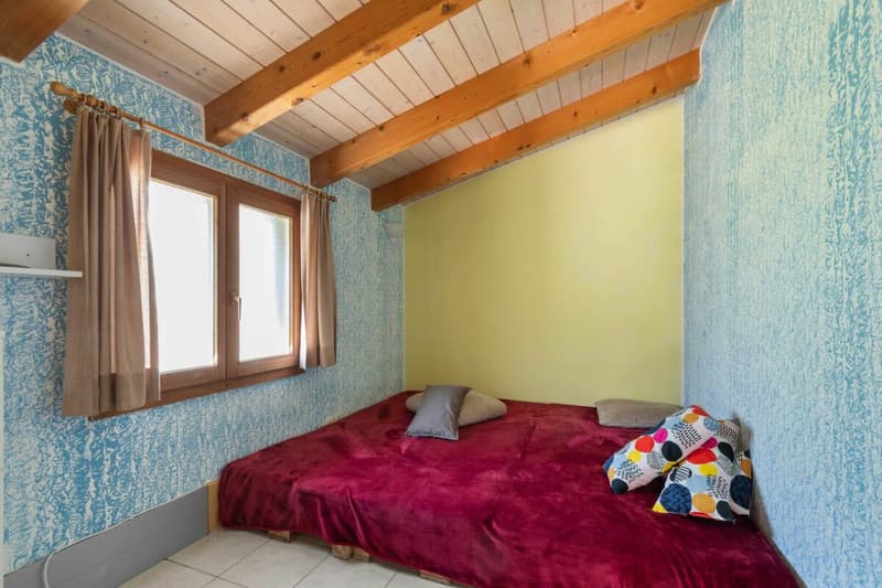 Prestigiosa villa bifamiliare con piscina, grottino, dépendance e garage con officina (21)
