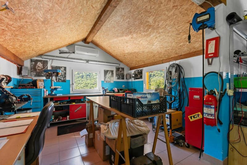 Prestigiosa villa bifamiliare con piscina, grottino, dépendance e garage con officina (23)