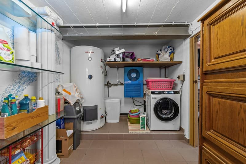 Prestigiosa villa bifamiliare con piscina, grottino, dépendance e garage con officina (18)
