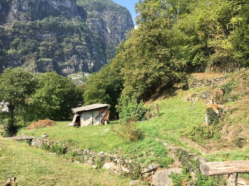 Terreno edificabile R3 + terreno boschivo (2)