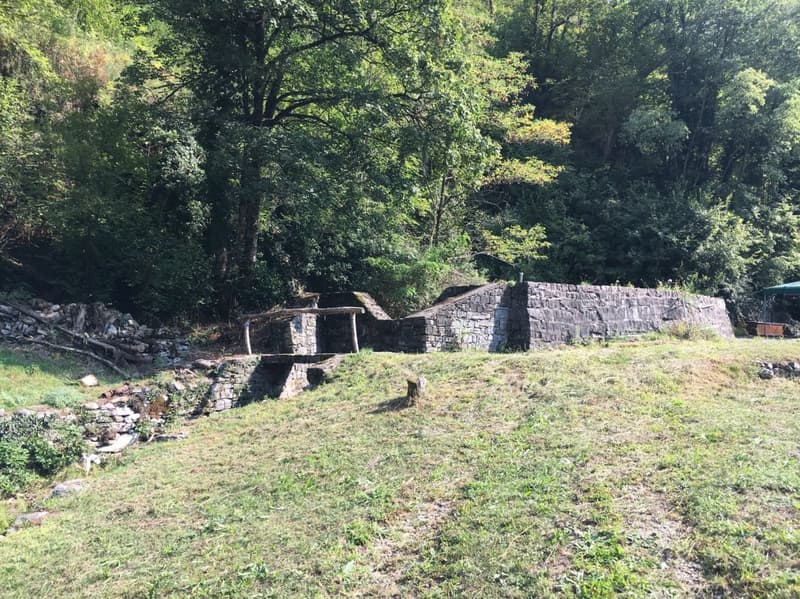 Terreno edificabile R3 + terreno boschivo (6)