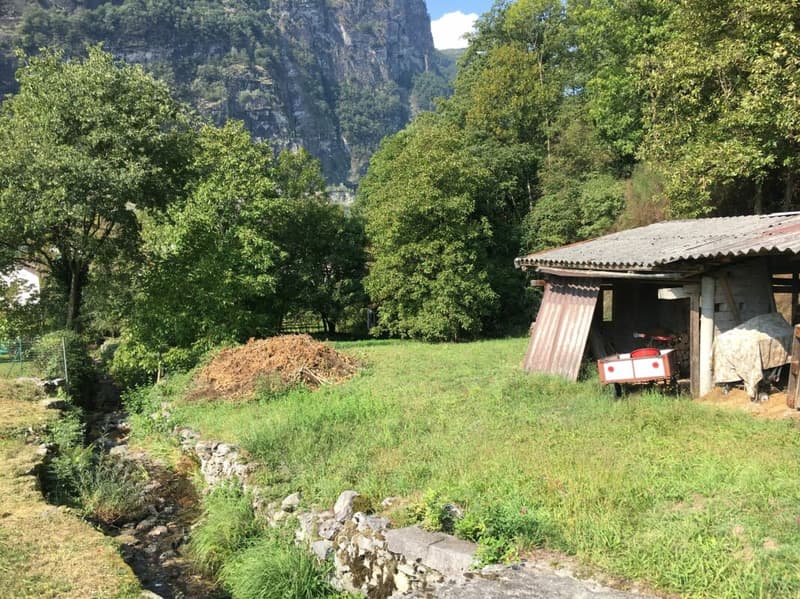 Terreno edificabile R3 + terreno boschivo (3)