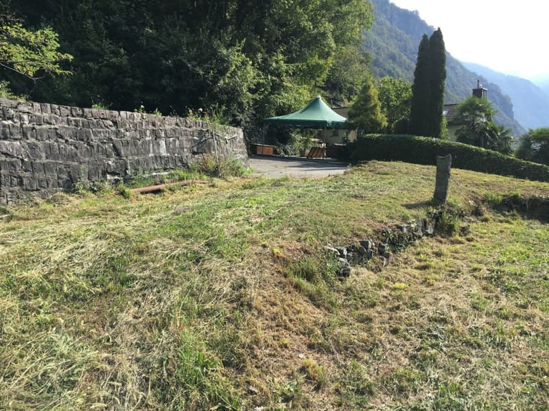 Terreno edificabile R3 + terreno boschivo (5)