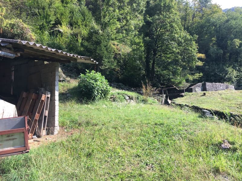 Terreno edificabile R3 + terreno boschivo (4)