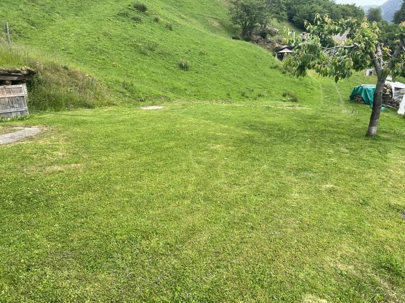 Rustico di 3 locali con terreno (15)