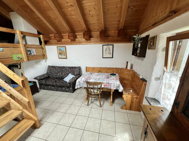 Rustico di 3 locali con terreno (6)