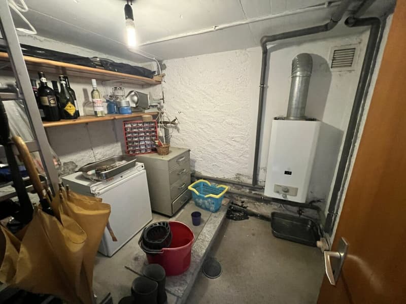 Rustico di 3 locali con terreno (11)