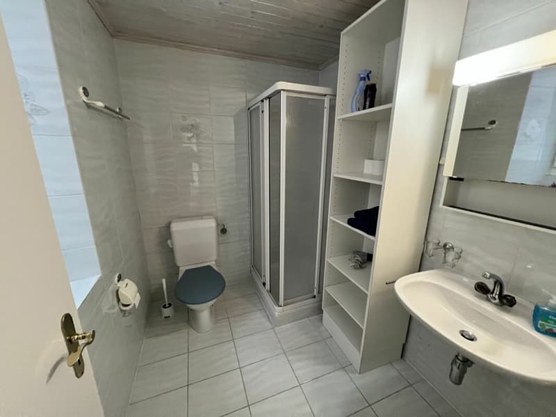 Casa bifamigliare a schiera centrale di 2 + 3.5 locali, con corte (7)