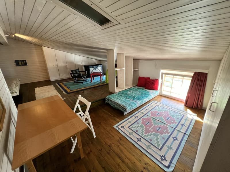 Casa bifamigliare a schiera centrale di 2 + 3.5 locali, con corte (16)