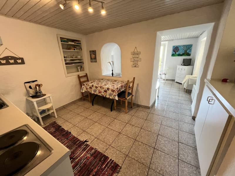 Casa bifamigliare a schiera centrale di 2 + 3.5 locali, con corte (3)