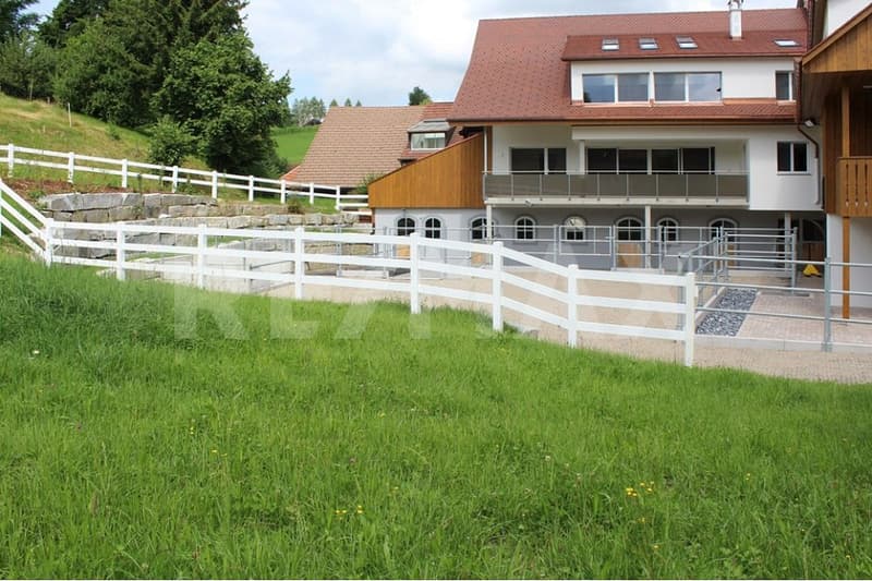Charmante Liegenschaft mit 7 Wohnungen, 4 Pferdeboxen mit Auslauf, und luxuriösem Wellness-Refugium (12)
