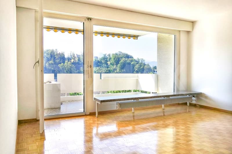 4½-Zimmer-Wohnung mit See- und Bergsicht (4)