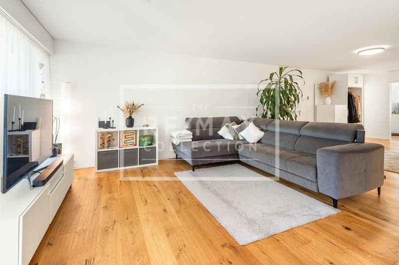 Modernisierte 4½-Zimmer-Wohnung mit spektakulärer Dachterrasse (3)