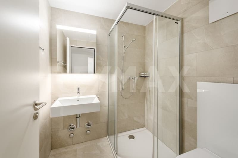 Kernsanierte 4½-Zimmer-Wohnung im 2. Obergeschoss (WHG-201) (12)