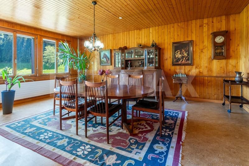 Einfamilienhaus an ruhiger und sonniger Lage  ein echtes Bijou! (11)