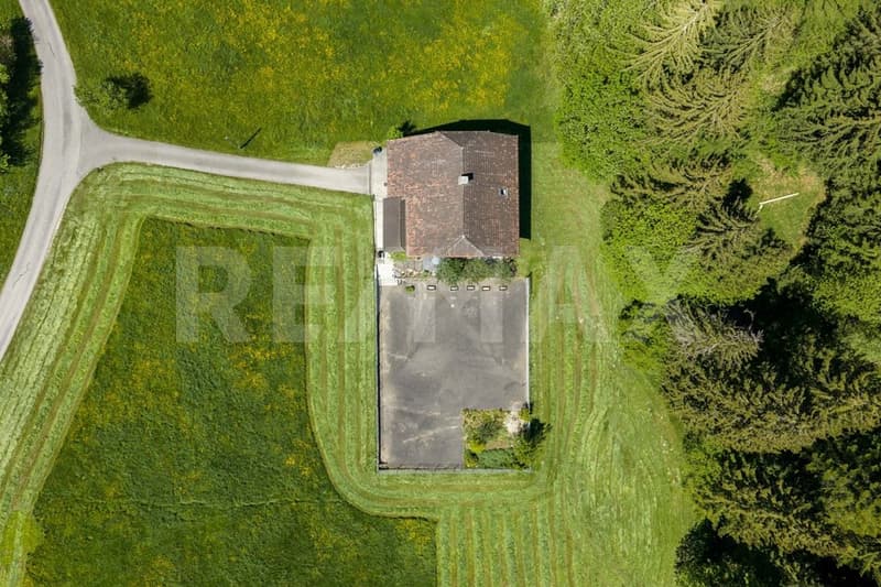 Einfamilienhaus an ruhiger und sonniger Lage  ein echtes Bijou! (3)