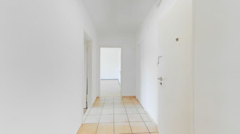 3.5-Zimmer-Wohnung EG in Meggen - Befristet bis 31.05.2027 (3)