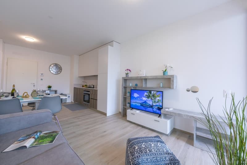 modern decor, open concept, living room and kitchen, large sofa, coffee table, tv mounted on wall, dining table, white walls, wooden floor, cabinets