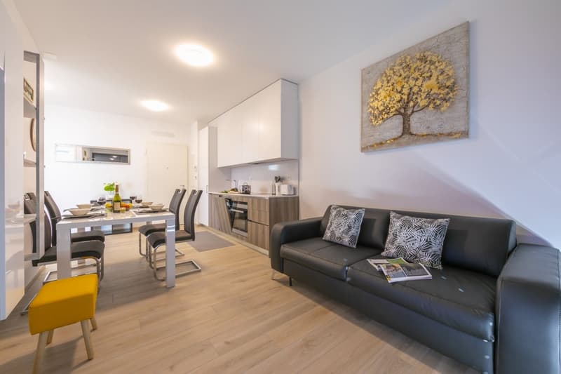 Vendita Appartamento 2,5 Locali a Lugano - Eleganza e Comfort (2)