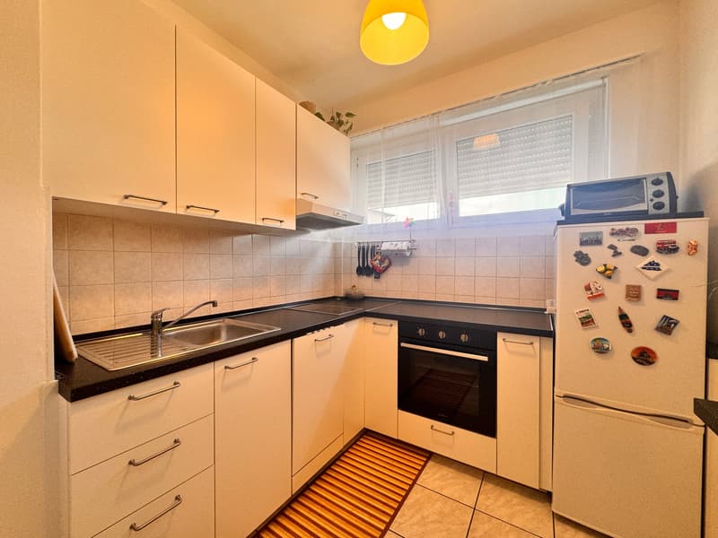 Elegante appartamento di 2.5 locali con vista panoramica a Lugano (4)