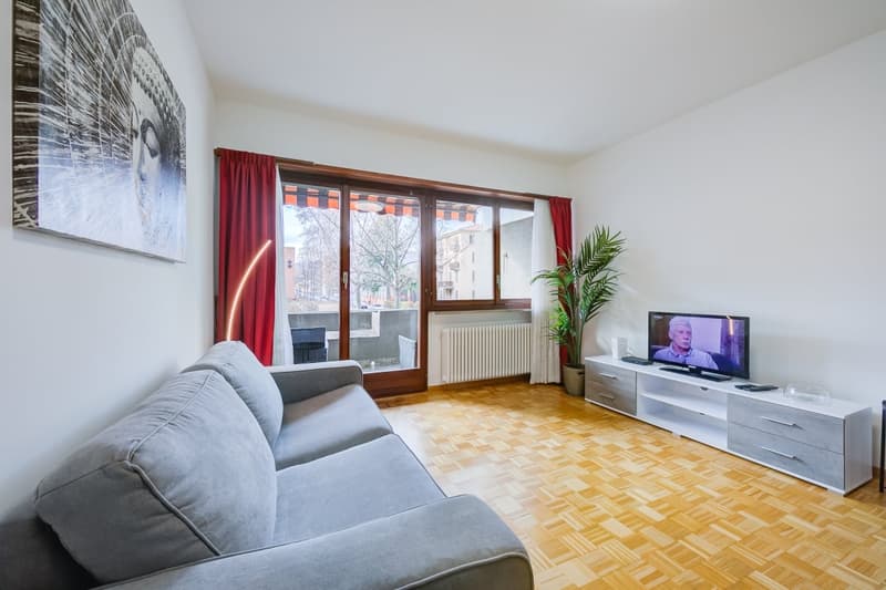 Accogliente appartamento 2.5 locali con balcone a Lugano (2)