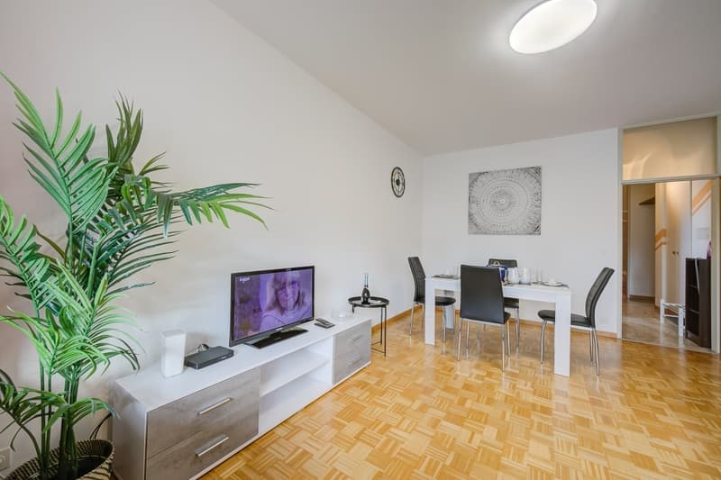 Accogliente appartamento 2.5 locali con balcone a Lugano (3)