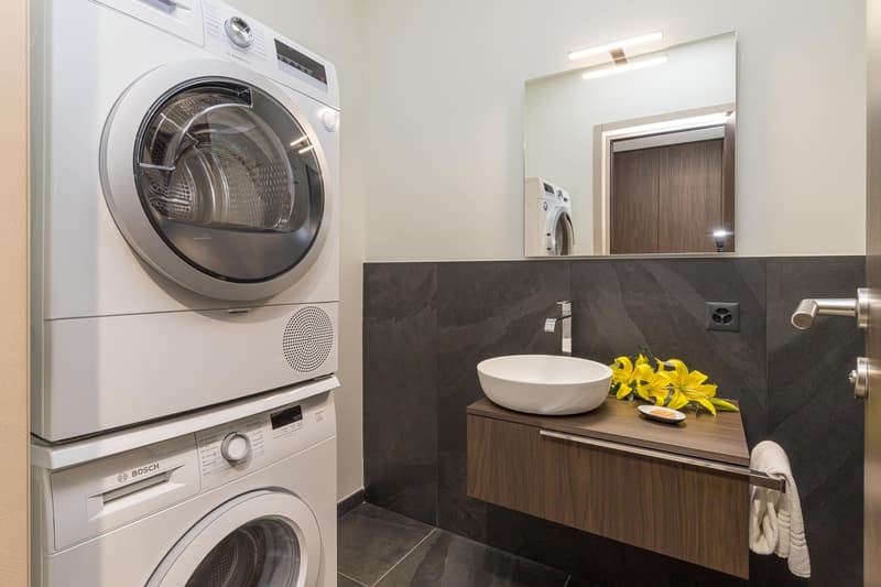 Appartmento Lugano 3.5 Medium Term Rental (7)