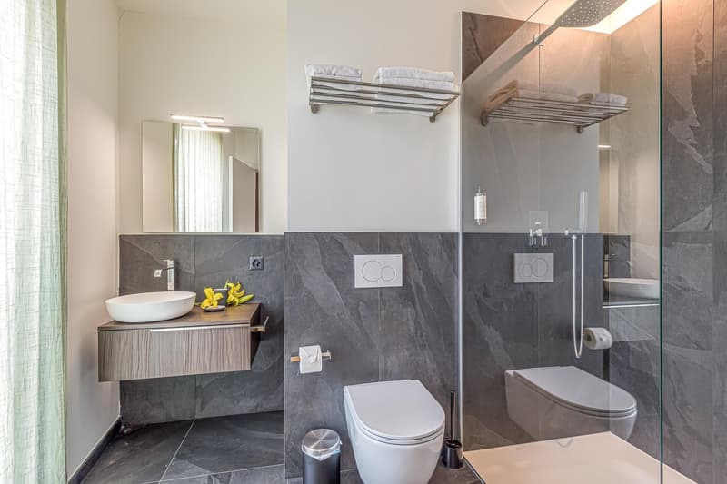 Appartmento Lugano 3.5 Medium Term Rental (9)