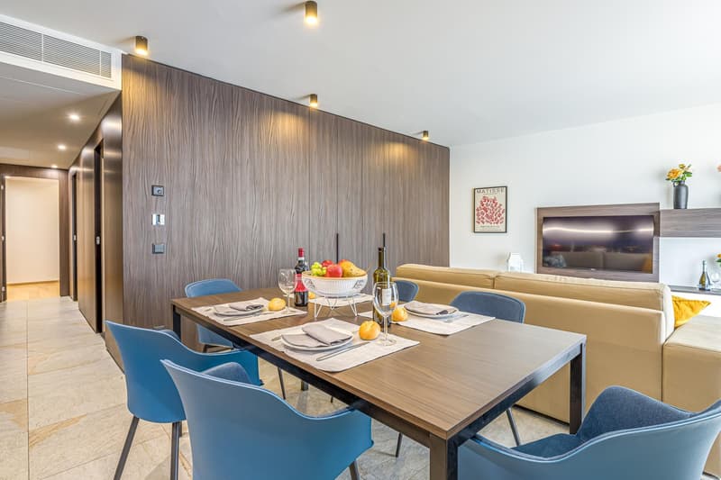 Appartmento Lugano 3.5 Medium Term Rental (5)