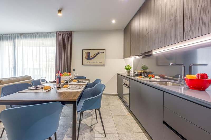 Appartmento Lugano 3.5 Medium Term Rental (2)