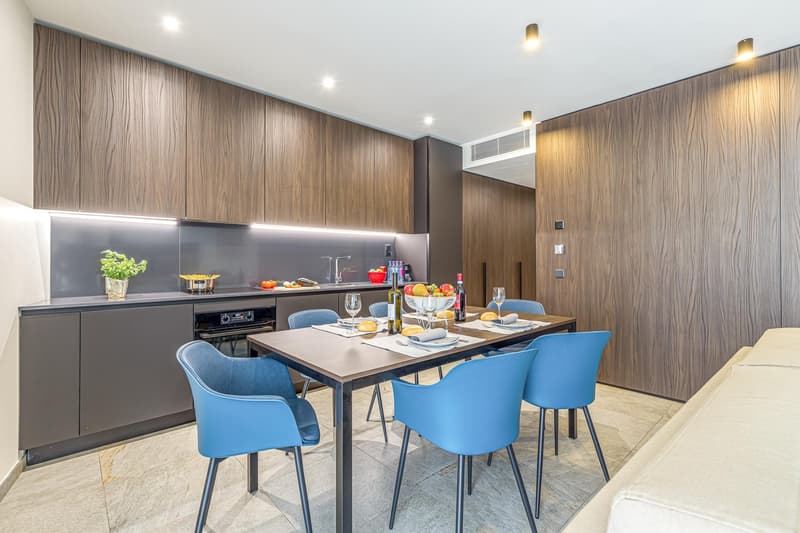 Appartmento Lugano 3.5 Medium Term Rental (4)