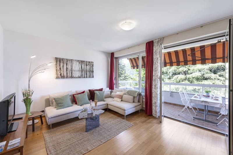 Modern 3.5-Room Apartment with Lake Proximity in Bissone (4 months minimum) (2)