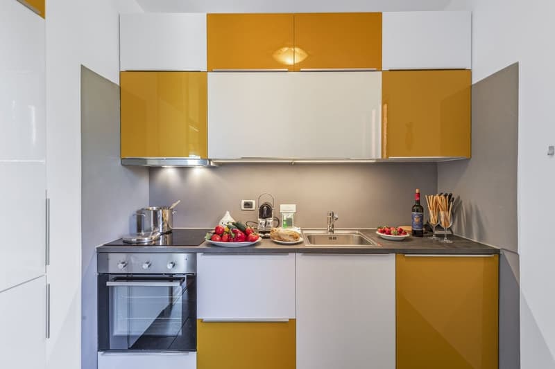 Modern 3.5-Room Apartment with Lake Proximity in Bissone (4 months minimum) (13)