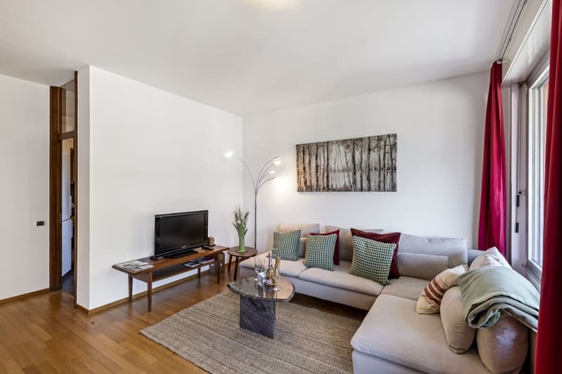 Modern 3.5-Room Apartment with Lake Proximity in Bissone (4 months minimum) (11)
