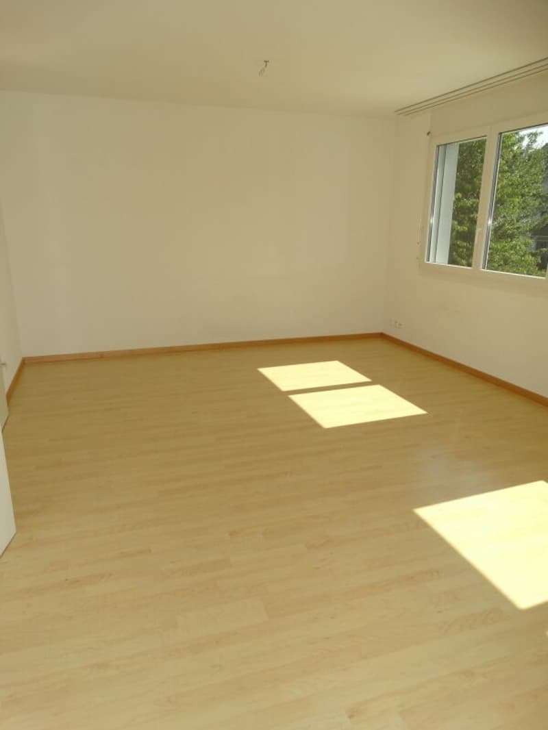 Wohnen im Eigentumsstandard mit dieser grosszügigen 4.5-Zimmerwohnung (5)