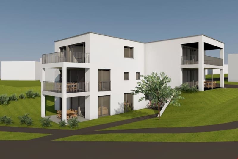 Moderne 2.5-Zimmerwohnung (5)