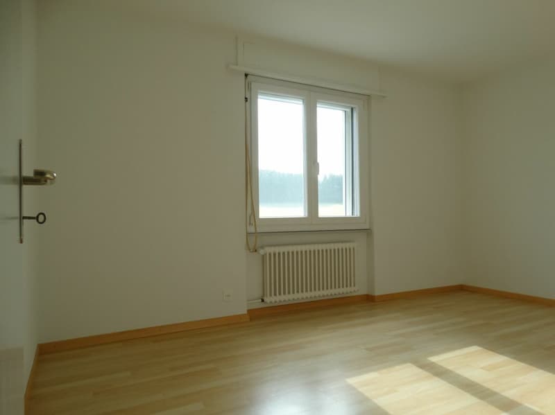 Helle 4.5-Zimmerwohnung in Fischbach (4)