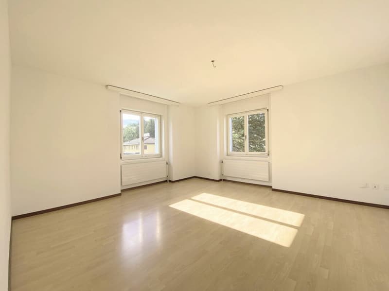 Grosszügige 3.5-Zimmerwohnung im Hochparterre (3)