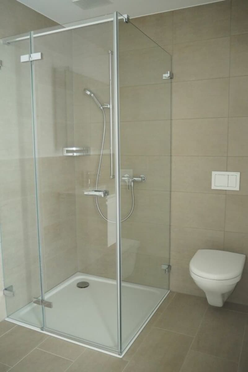 Moderne 2.5-Zimmerwohnung (5)