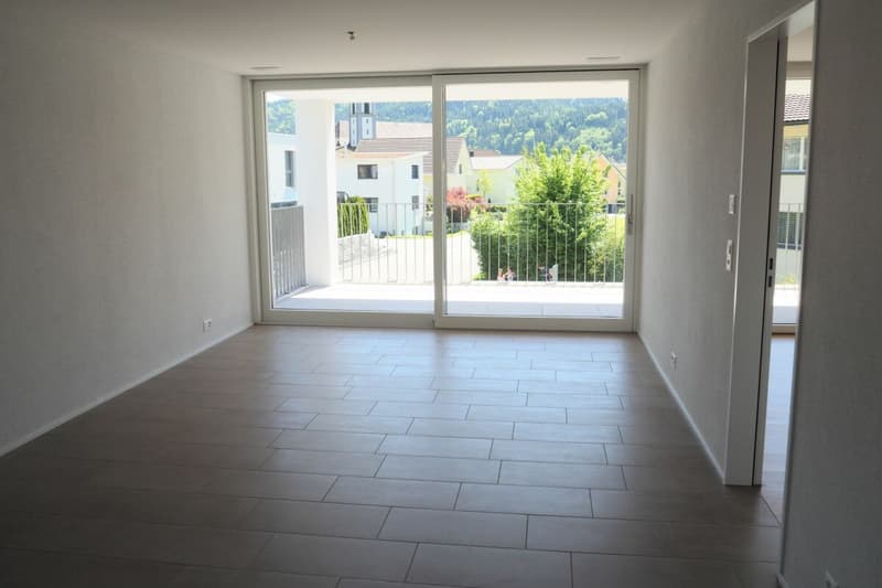 Moderne 2.5-Zimmerwohnung (3)