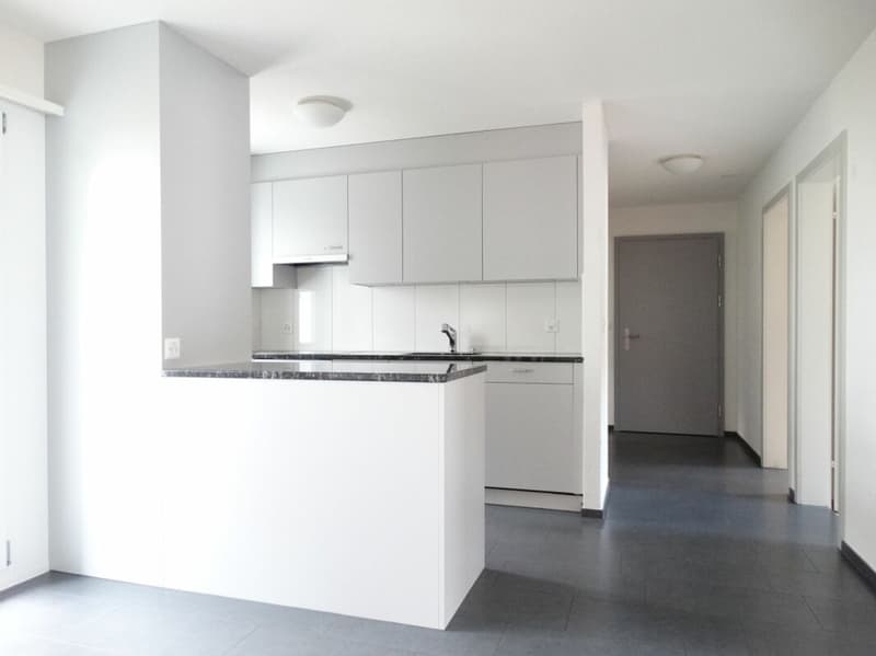 Helle 4.5-Zimmerwohnung (1)